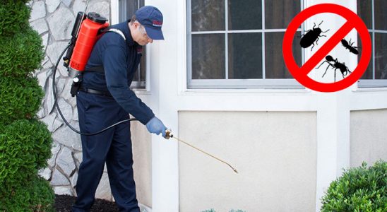 Bulanık Böcek ve Haşere İlaçlama böcek ilaçlama ve haşere kontrolü — ilaclama-tr.com